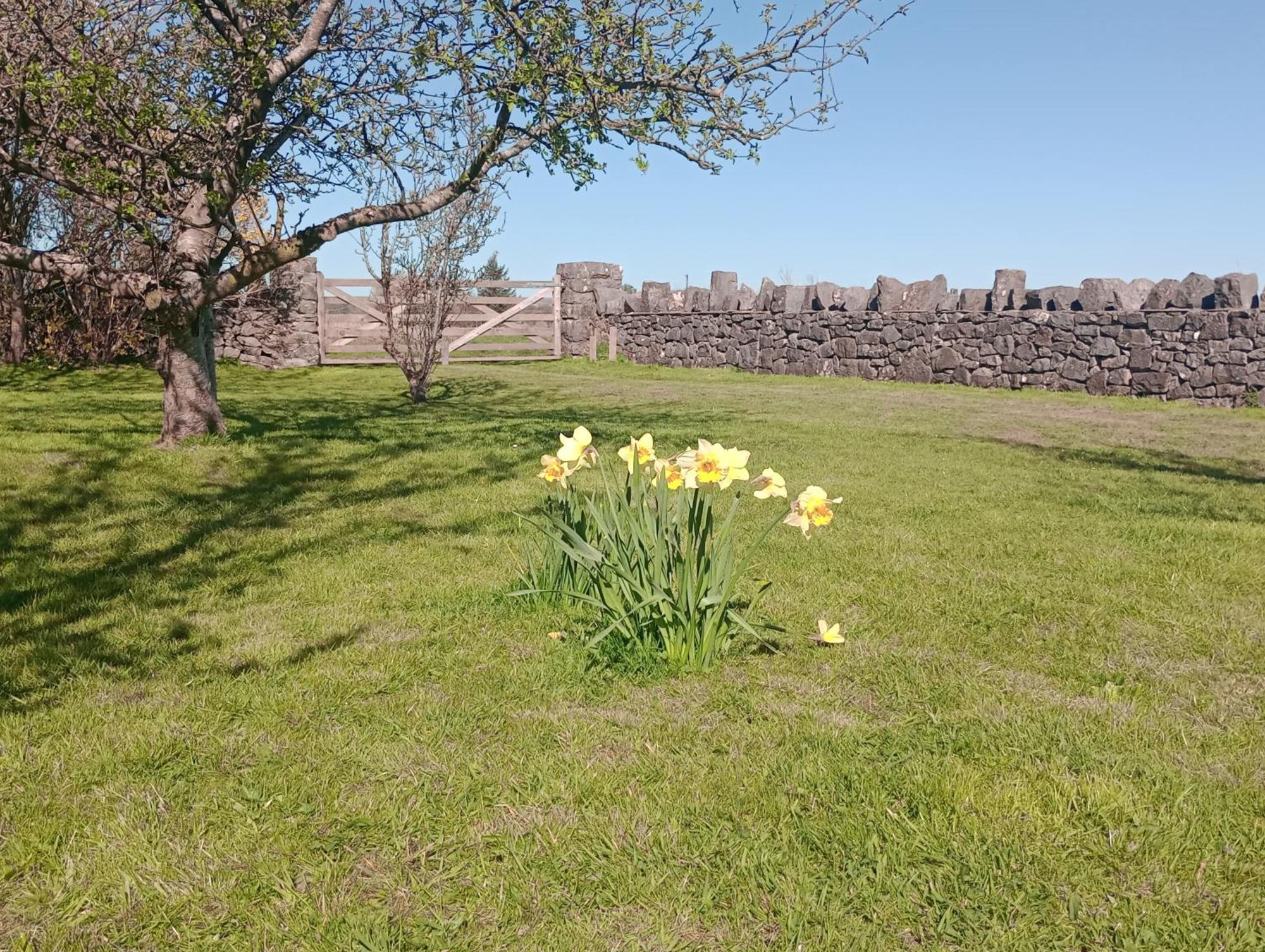 Vila Sunnyside Farm Grange-over-Sands Exteriér fotografie